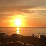 IMG_1098 (May 05, 2023)